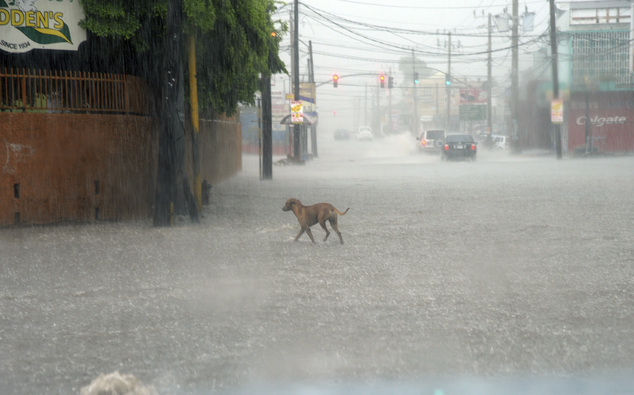 Hurricane Matthew Hits Haiti With Strong Wind, Heavy Rain