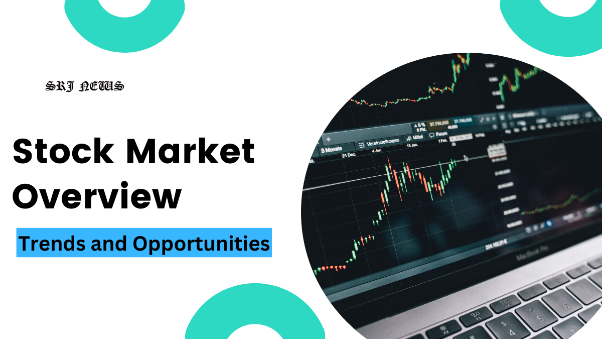 Stock Market Overview: Trends and Opportunities