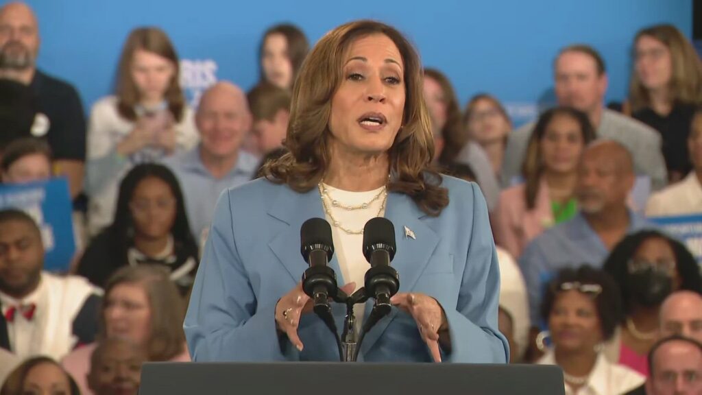 What is 'price gouging' and why is Kamala Harris proposing to ban it?