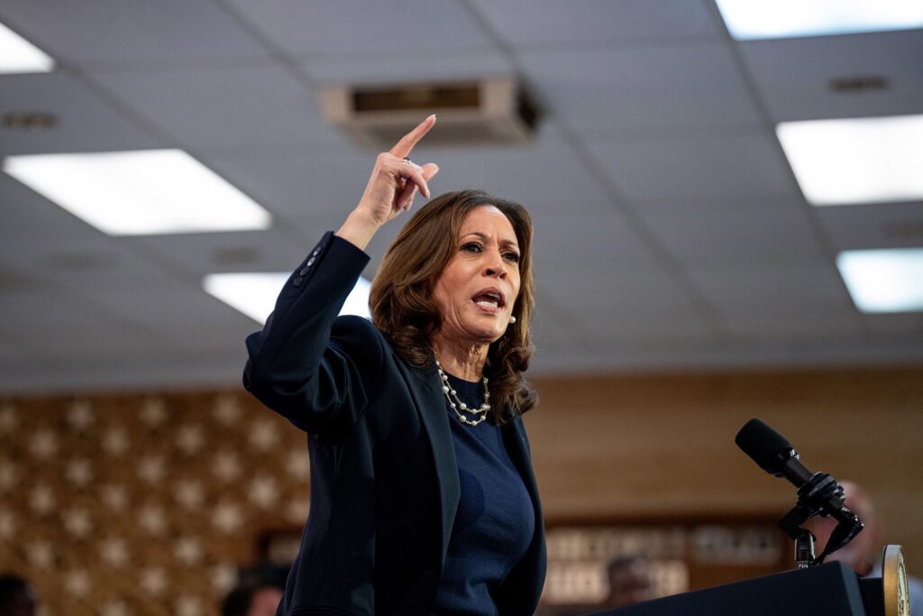 What is 'price gouging' and why is Kamala Harris proposing to ban it?